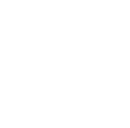 R-report